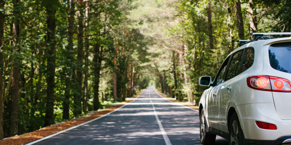 Checking car finance eligibility before applying in New Zealand