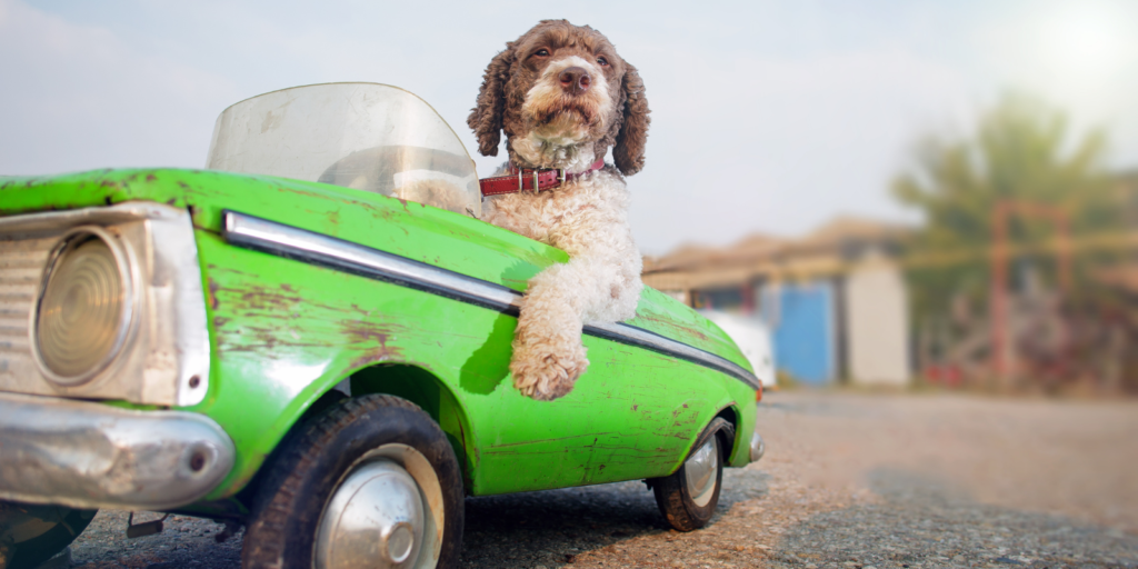 Comparing car loan refinance options in NZ